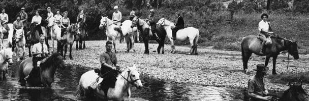 galoping horses throuhg the river