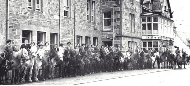 line up of 28 horses with their riders