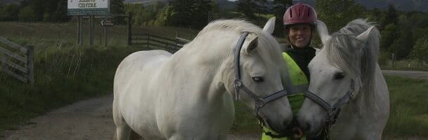 two horse out on a walk