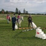 Children riding ponies learning how to to tricks