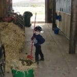 Kids Helping out in the horse sables