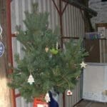 homemade christmas decorations hanging on Christmas Tree