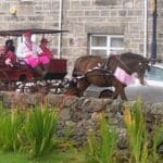 carriage ride for Pink Day support