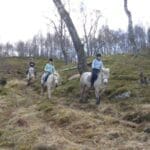 horse riders trekkign down hill through the forrest