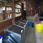 inside stables feeding and washing stations