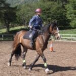 Horse rider galliping around with their horse for practise