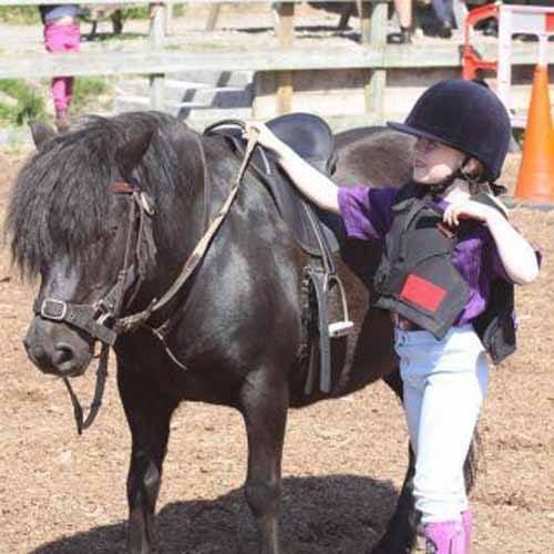 Child looking after and leading a pony