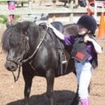 child leading pony and helping the pony go where it needs to