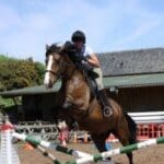 horse rider jumping on horse back