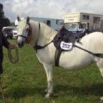 White horse and its owner