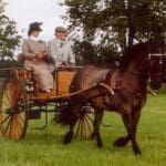 ride for a couple through the park