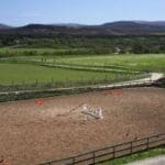 Horses area