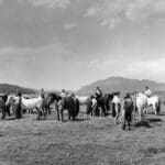 Horse trekking with lots of people and horses - old history photo