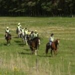 Trekking through the Field for Exam