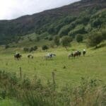 Trekking through the Highlands for Exam