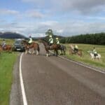 Trekking across the road for their exam