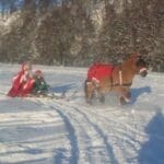 big horse dragging sleigh with child and santa on it