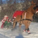 big horse dragging sleigh with child and santa on it