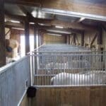 Stables facilities at Highland Horse Fun