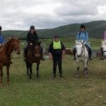 on horseback for exam