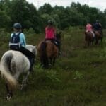 four horse riders on horse back trekking through field