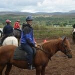 group of riders in the riding area on horses