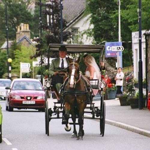 mainstreet-57 Wedding Carriage ride through the town for the bride and Groom