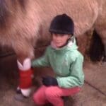 Child putting chirstmas boots on horses