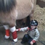 child putting christmas boots on horses