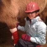 child putting christmas boots on horses