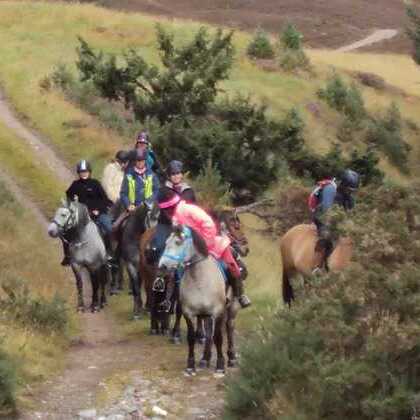 Kingussie camping & aire Croila Croft — photo 8